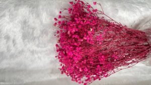 dry flower