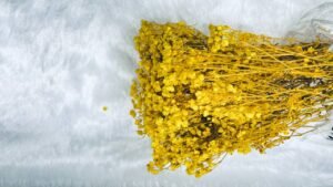 dry flower