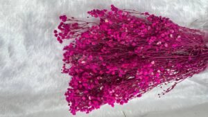 dry flower