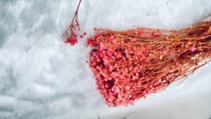 dry flower