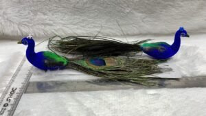 peacock